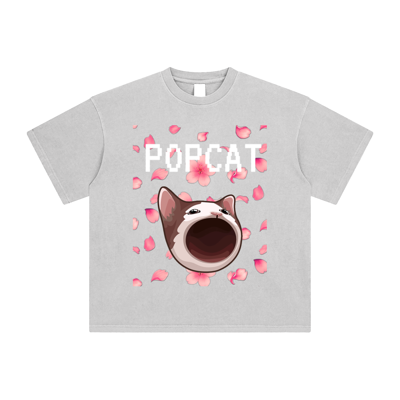 POPCAT,COINS,crypto,t-shirt,tee,graphic tee,vintage,t-shirts,shirts,shirt