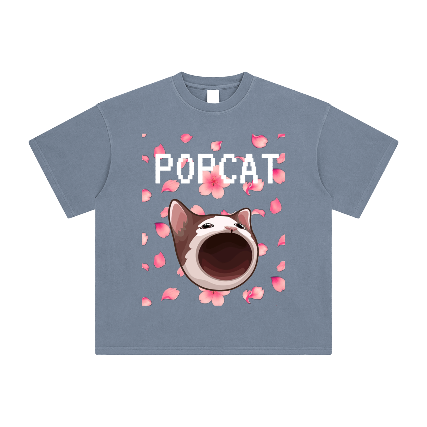 POPCAT,COINS,crypto,t-shirt,tee,graphic tee,vintage,t-shirts,shirts,shirt
