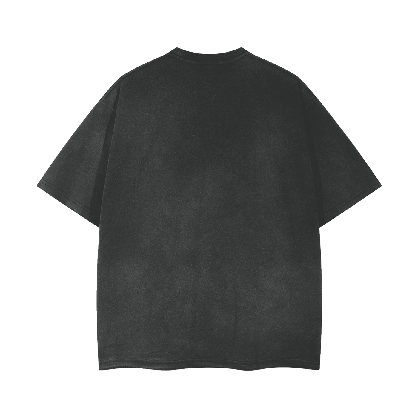 Bitcoin Dove Graphic Tee