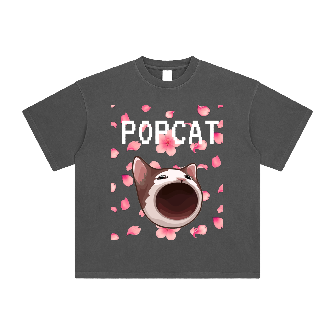 POPCAT,COINS,crypto,t-shirt,tee,graphic tee,vintage,t-shirts,shirts,shirt