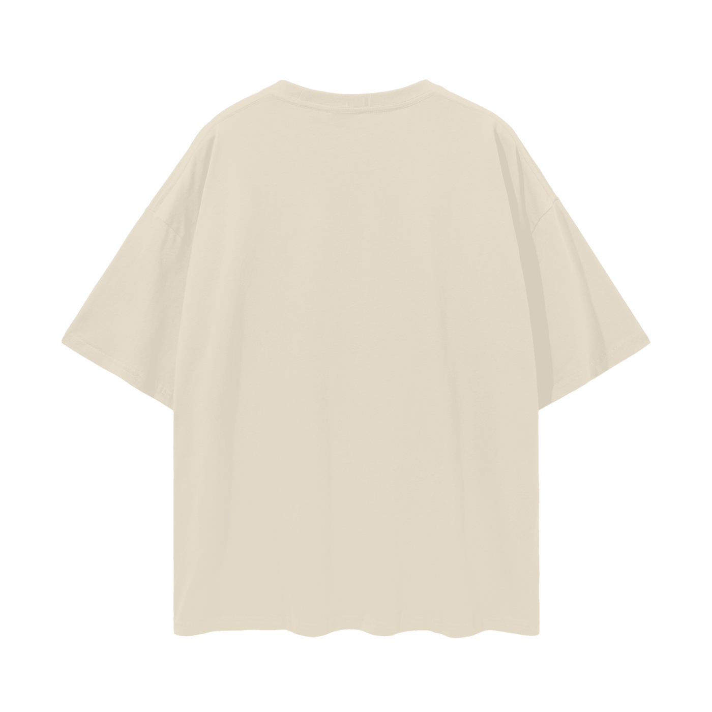 LUDWIG,SONIC,Graphic Tee,Drop Shoulder Tee,$LUDWIG,Oversize