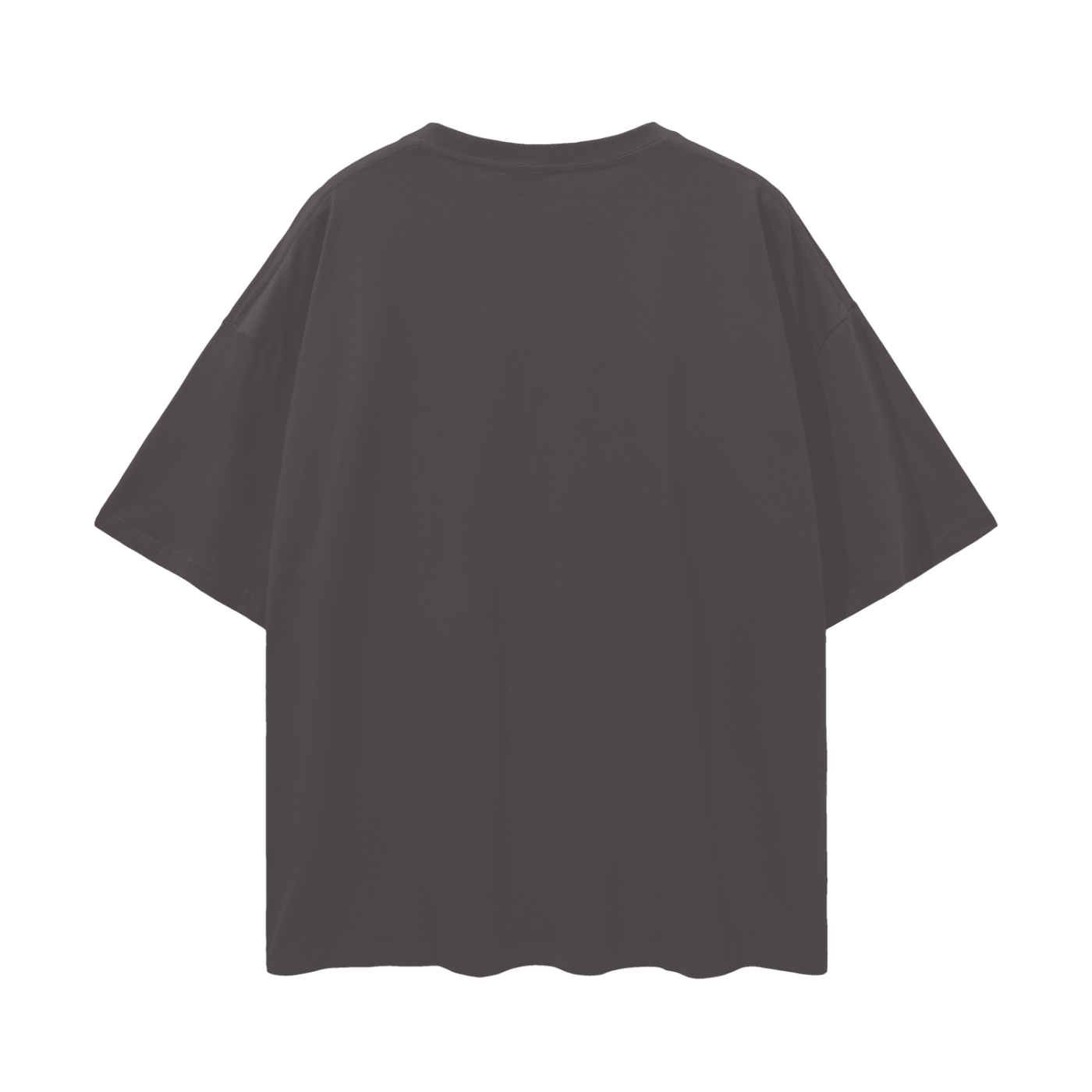 BTC,Bitcoin,Bitcoin T-Shirt,Graphic Tee,$BTC,T-Shirt,T-Shirts,Shirt,oversize,Bitcoin Graphic Tee